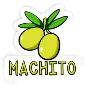 Sticker Machito Olive Image