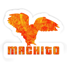 Owl Sticker Machito Image