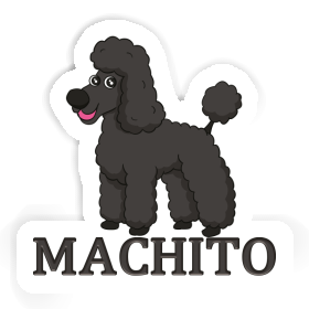 Sticker Poodle Machito Image