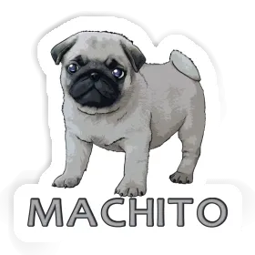 Sticker Machito Pug Image