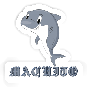 Sticker Shark Machito Image