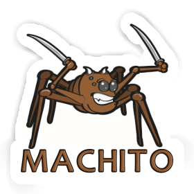 Sticker Machito Spider Image