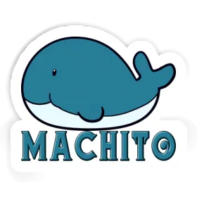 Sticker Machito Whale Fish Image