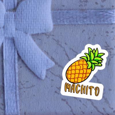 Sticker Pineapple Machito Laptop Image