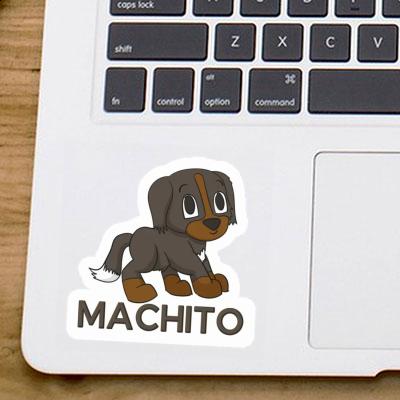 Bernese Dog Sticker Machito Gift package Image