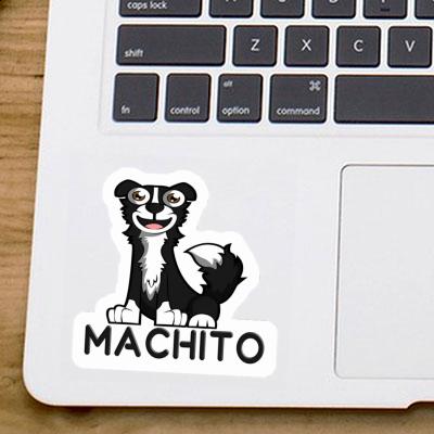 Machito Sticker Border Collie Laptop Image