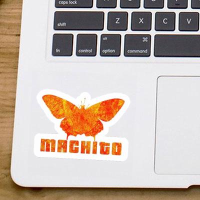 Machito Sticker Butterfly Image