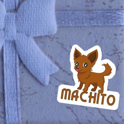 Chihuahua Autocollant Machito Gift package Image