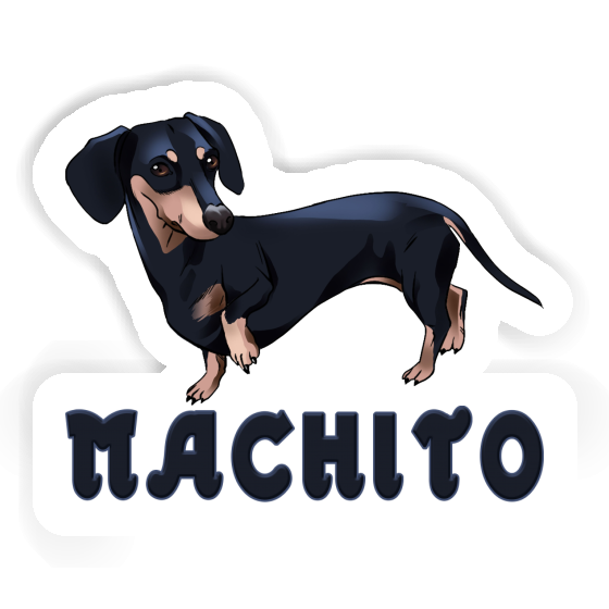 Sticker Dachshund Machito Notebook Image