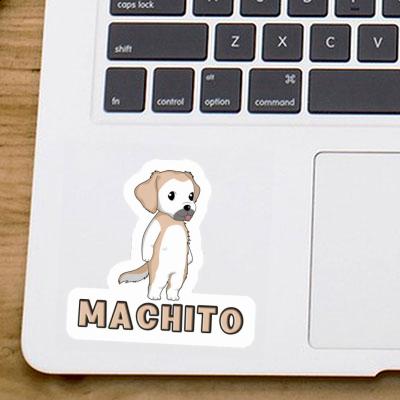 Golden Retriever Autocollant Machito Gift package Image