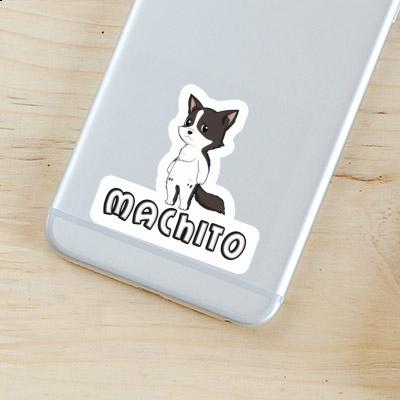 Border Collie Sticker Machito Gift package Image