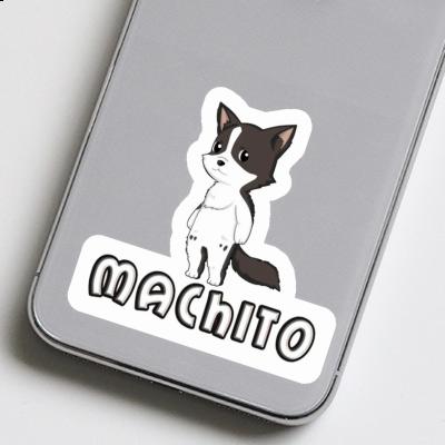 Border Collie Sticker Machito Gift package Image