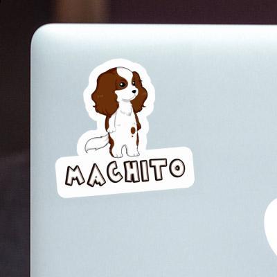 Sticker Cavalier King Charles Spaniel Machito Gift package Image