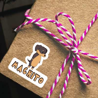 Machito Autocollant Teckel Gift package Image