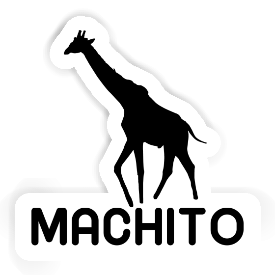 Autocollant Machito Girafe Gift package Image