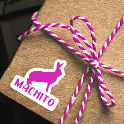 Sticker Rabbit Machito Gift package Image