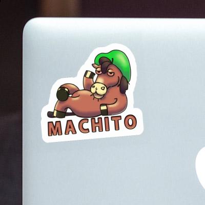 Lying horse Sticker Machito Laptop Image