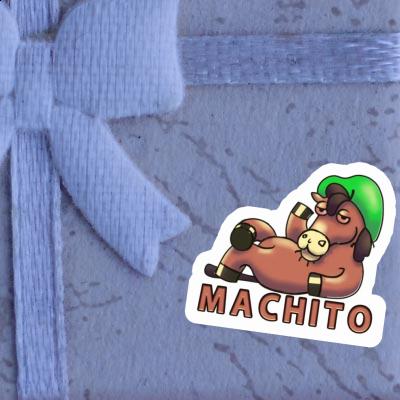 Lying horse Sticker Machito Gift package Image