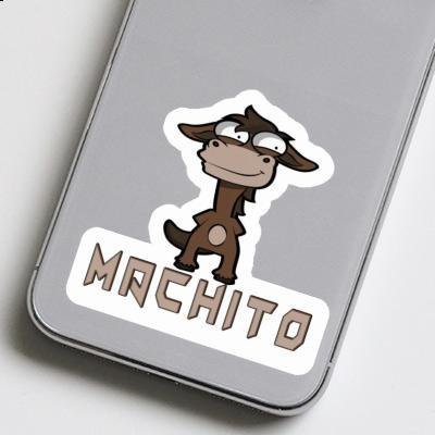 Sticker Machito Standing Horse Image