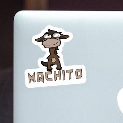 Sticker Machito Standing Horse Laptop Image