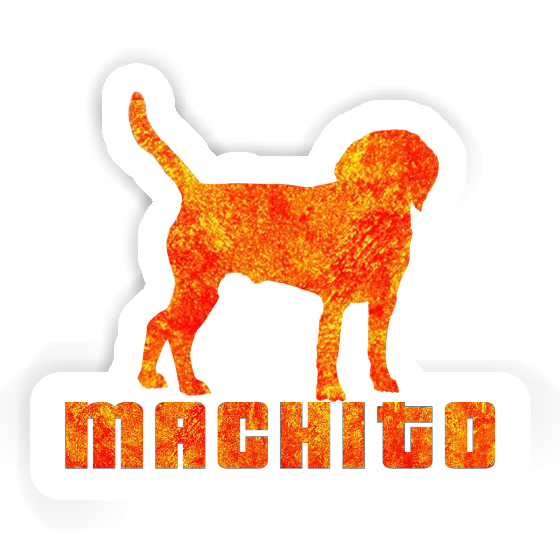 Autocollant Chien Machito Gift package Image