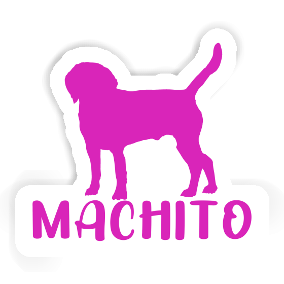 Autocollant Machito Chien Gift package Image