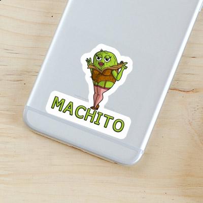 Sticker Machito Kiwi Notebook Image