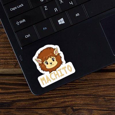 Sticker Machito Lion Image