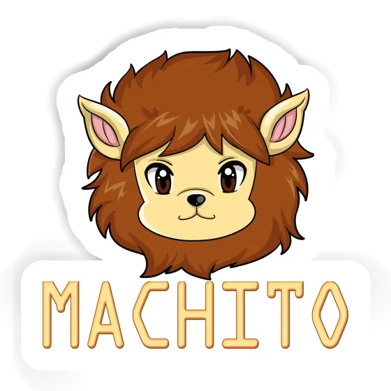 Sticker Machito Lion Gift package Image