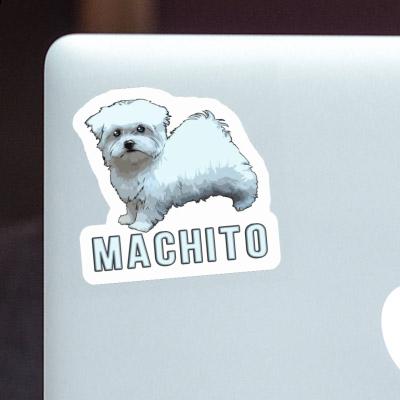 Machito Aufkleber Malteserhund Laptop Image