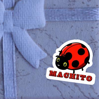 Sticker Ladybird Machito Image