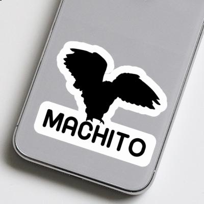 Sticker Owl Machito Gift package Image