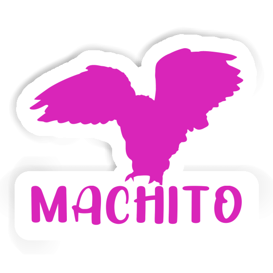 Sticker Owl Machito Image