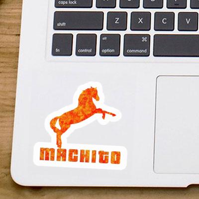 Horse Sticker Machito Gift package Image