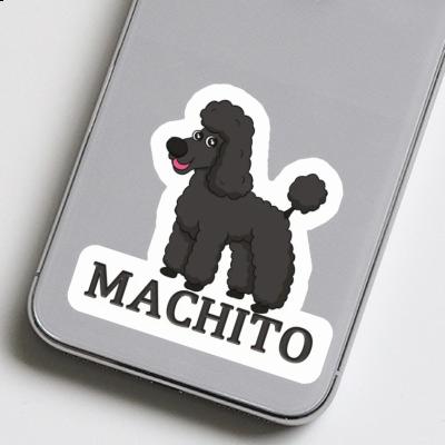 Sticker Poodle Machito Laptop Image