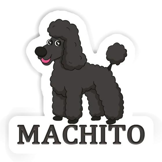 Sticker Poodle Machito Notebook Image