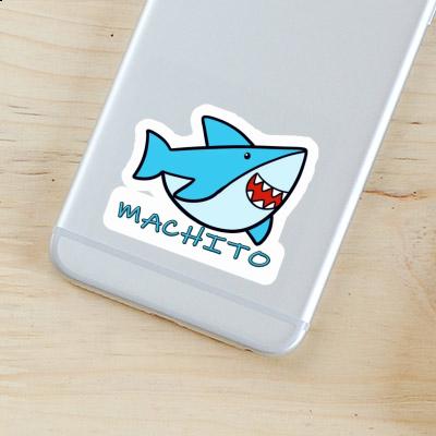 Shark Sticker Machito Gift package Image