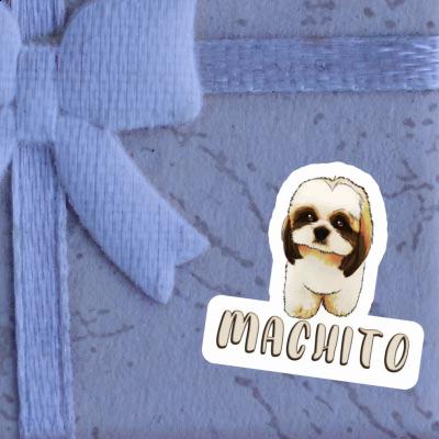 Sticker Machito Shih Tzu Image