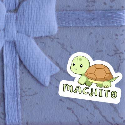 Machito Sticker Schildkröte Gift package Image