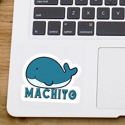 Sticker Machito Whale Fish Gift package Image