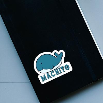 Sticker Machito Whale Fish Image