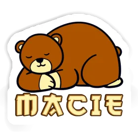 Sticker Bear Macie Image