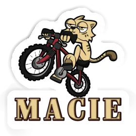 Sticker Macie Fahrradkatze Image