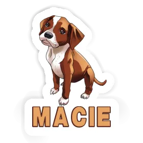 Boxer Sticker Macie Image