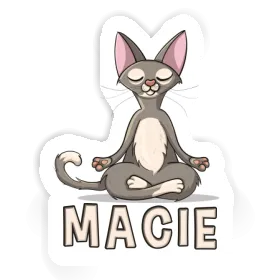 Autocollant Macie Chat de yoga Image