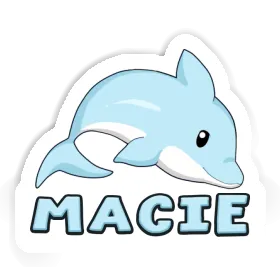 Autocollant Macie Dauphin Image