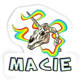 Totenkopf Sticker Macie Image