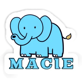 Macie Sticker Elefant Image