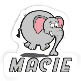 Macie Sticker Elefant Image