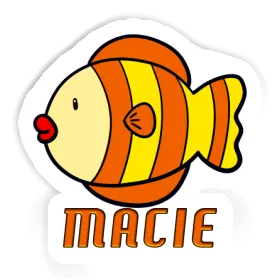 Autocollant Macie Poisson Image